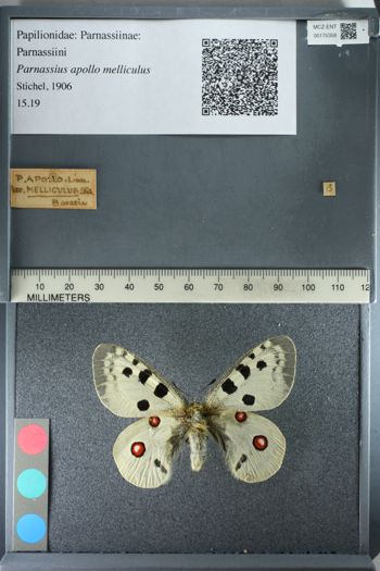 Media type: image;   Entomology 175358